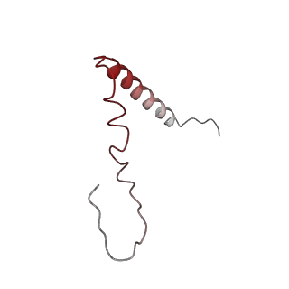25410_7ssn_Z_v1-0
Pre translocation 70S ribosome with A/P* and P/E tRNA (Structure II-B)
