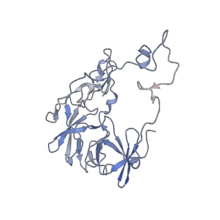 25410_7ssn_b_v1-0
Pre translocation 70S ribosome with A/P* and P/E tRNA (Structure II-B)