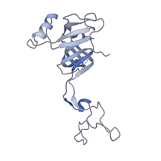 25410_7ssn_c_v1-0
Pre translocation 70S ribosome with A/P* and P/E tRNA (Structure II-B)