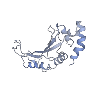 25410_7ssn_e_v1-0
Pre translocation 70S ribosome with A/P* and P/E tRNA (Structure II-B)
