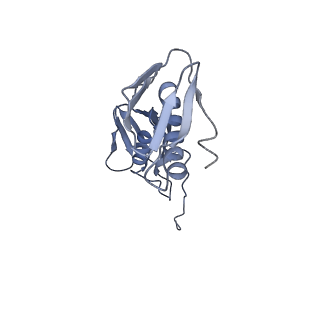 25410_7ssn_f_v1-0
Pre translocation 70S ribosome with A/P* and P/E tRNA (Structure II-B)