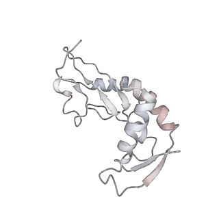 25410_7ssn_i_v1-0
Pre translocation 70S ribosome with A/P* and P/E tRNA (Structure II-B)