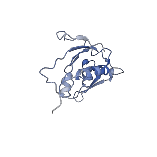 25410_7ssn_j_v1-0
Pre translocation 70S ribosome with A/P* and P/E tRNA (Structure II-B)