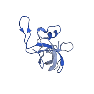 25410_7ssn_k_v1-0
Pre translocation 70S ribosome with A/P* and P/E tRNA (Structure II-B)