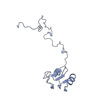 25410_7ssn_l_v1-0
Pre translocation 70S ribosome with A/P* and P/E tRNA (Structure II-B)