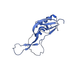 25410_7ssn_m_v1-0
Pre translocation 70S ribosome with A/P* and P/E tRNA (Structure II-B)