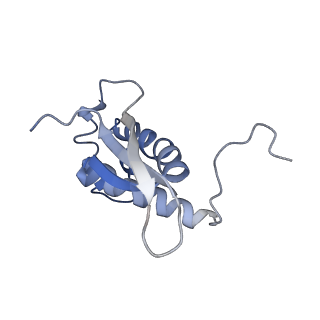 25410_7ssn_n_v1-0
Pre translocation 70S ribosome with A/P* and P/E tRNA (Structure II-B)