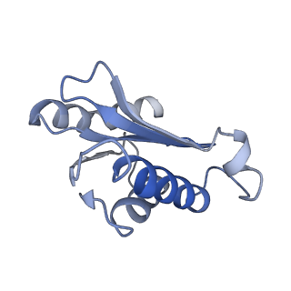 25410_7ssn_o_v1-0
Pre translocation 70S ribosome with A/P* and P/E tRNA (Structure II-B)