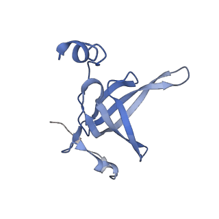25410_7ssn_p_v1-0
Pre translocation 70S ribosome with A/P* and P/E tRNA (Structure II-B)