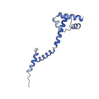 25410_7ssn_q_v1-0
Pre translocation 70S ribosome with A/P* and P/E tRNA (Structure II-B)