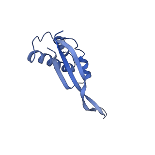 25410_7ssn_s_v1-0
Pre translocation 70S ribosome with A/P* and P/E tRNA (Structure II-B)