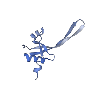 25410_7ssn_t_v1-0
Pre translocation 70S ribosome with A/P* and P/E tRNA (Structure II-B)