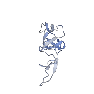 25410_7ssn_u_v1-0
Pre translocation 70S ribosome with A/P* and P/E tRNA (Structure II-B)