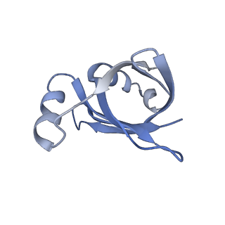 25410_7ssn_v_v1-0
Pre translocation 70S ribosome with A/P* and P/E tRNA (Structure II-B)