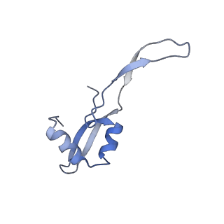 25410_7ssn_x_v1-0
Pre translocation 70S ribosome with A/P* and P/E tRNA (Structure II-B)