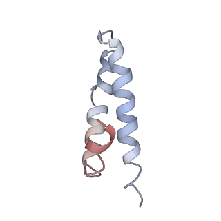 25410_7ssn_y_v1-0
Pre translocation 70S ribosome with A/P* and P/E tRNA (Structure II-B)