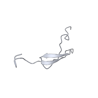 25411_7sso_A_v1-0
Pre translocation 70S ribosome with A/A and P/E tRNA (Structure II-A)