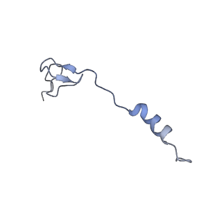 25411_7sso_B_v1-0
Pre translocation 70S ribosome with A/A and P/E tRNA (Structure II-A)