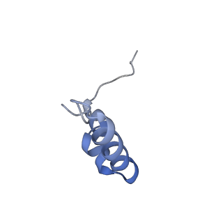 25411_7sso_D_v1-0
Pre translocation 70S ribosome with A/A and P/E tRNA (Structure II-A)