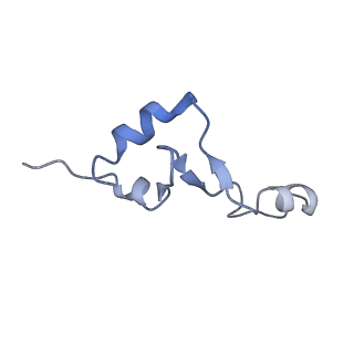 25411_7sso_E_v1-0
Pre translocation 70S ribosome with A/A and P/E tRNA (Structure II-A)