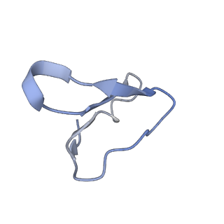 25411_7sso_F_v1-0
Pre translocation 70S ribosome with A/A and P/E tRNA (Structure II-A)