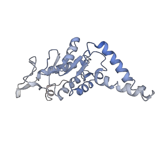 25411_7sso_G_v1-0
Pre translocation 70S ribosome with A/A and P/E tRNA (Structure II-A)