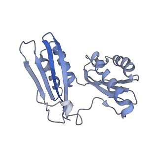 25411_7sso_H_v1-0
Pre translocation 70S ribosome with A/A and P/E tRNA (Structure II-A)