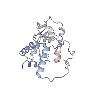25411_7sso_I_v1-0
Pre translocation 70S ribosome with A/A and P/E tRNA (Structure II-A)