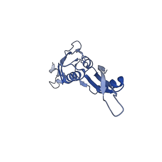 25411_7sso_J_v1-0
Pre translocation 70S ribosome with A/A and P/E tRNA (Structure II-A)