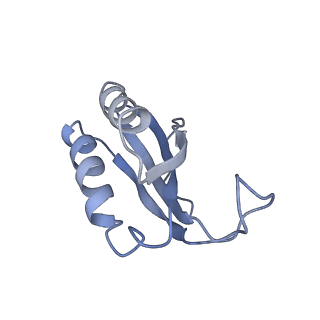 25411_7sso_K_v1-0
Pre translocation 70S ribosome with A/A and P/E tRNA (Structure II-A)
