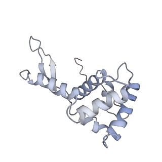 25411_7sso_L_v1-0
Pre translocation 70S ribosome with A/A and P/E tRNA (Structure II-A)