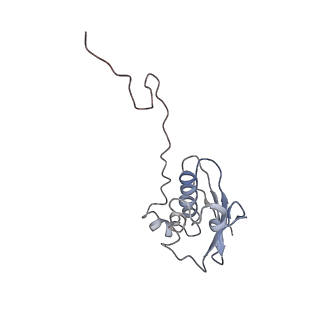 25411_7sso_N_v1-0
Pre translocation 70S ribosome with A/A and P/E tRNA (Structure II-A)