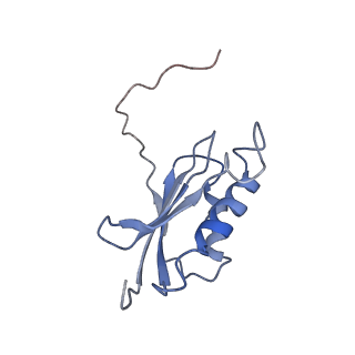25411_7sso_P_v1-0
Pre translocation 70S ribosome with A/A and P/E tRNA (Structure II-A)