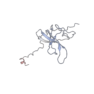 25411_7sso_Q_v1-0
Pre translocation 70S ribosome with A/A and P/E tRNA (Structure II-A)