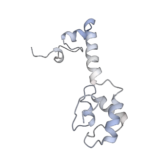 25411_7sso_R_v1-0
Pre translocation 70S ribosome with A/A and P/E tRNA (Structure II-A)