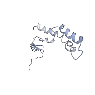 25411_7sso_S_v1-0
Pre translocation 70S ribosome with A/A and P/E tRNA (Structure II-A)