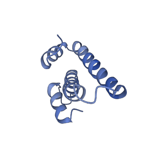 25411_7sso_T_v1-0
Pre translocation 70S ribosome with A/A and P/E tRNA (Structure II-A)