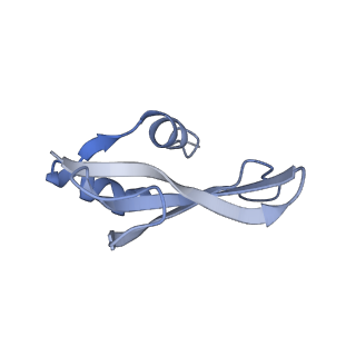 25411_7sso_U_v1-0
Pre translocation 70S ribosome with A/A and P/E tRNA (Structure II-A)