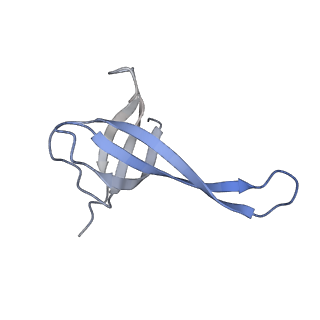 25411_7sso_V_v1-0
Pre translocation 70S ribosome with A/A and P/E tRNA (Structure II-A)