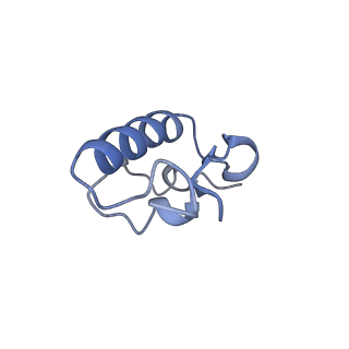 25411_7sso_W_v1-0
Pre translocation 70S ribosome with A/A and P/E tRNA (Structure II-A)