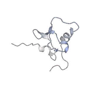 25411_7sso_X_v1-0
Pre translocation 70S ribosome with A/A and P/E tRNA (Structure II-A)