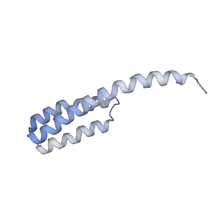 25411_7sso_Y_v1-0
Pre translocation 70S ribosome with A/A and P/E tRNA (Structure II-A)