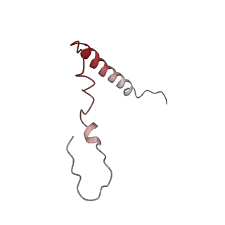 25411_7sso_Z_v1-0
Pre translocation 70S ribosome with A/A and P/E tRNA (Structure II-A)