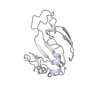 25411_7sso_a_v1-0
Pre translocation 70S ribosome with A/A and P/E tRNA (Structure II-A)