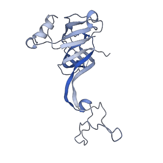25411_7sso_c_v1-0
Pre translocation 70S ribosome with A/A and P/E tRNA (Structure II-A)