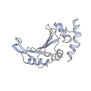 25411_7sso_e_v1-0
Pre translocation 70S ribosome with A/A and P/E tRNA (Structure II-A)