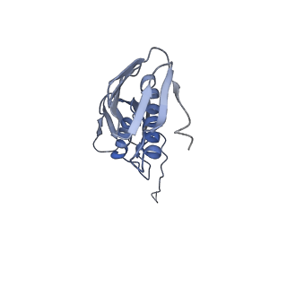 25411_7sso_f_v1-0
Pre translocation 70S ribosome with A/A and P/E tRNA (Structure II-A)