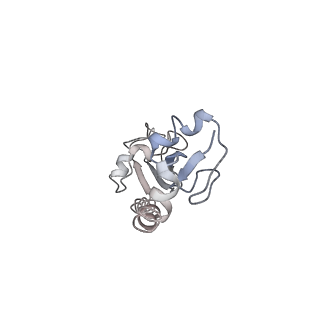 25411_7sso_g_v1-0
Pre translocation 70S ribosome with A/A and P/E tRNA (Structure II-A)