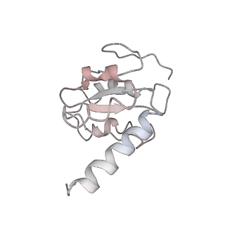 25411_7sso_h_v1-0
Pre translocation 70S ribosome with A/A and P/E tRNA (Structure II-A)