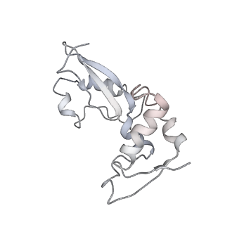 25411_7sso_i_v1-0
Pre translocation 70S ribosome with A/A and P/E tRNA (Structure II-A)